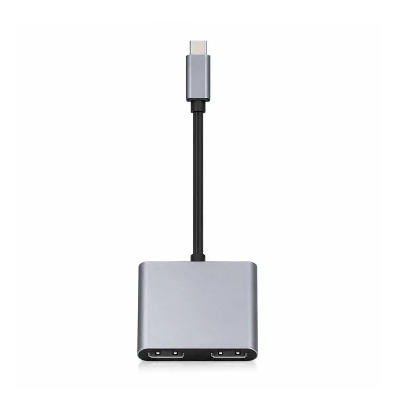 Adaptateur USB-C HUB 2 en 1 Générique TYPE-C2IN1