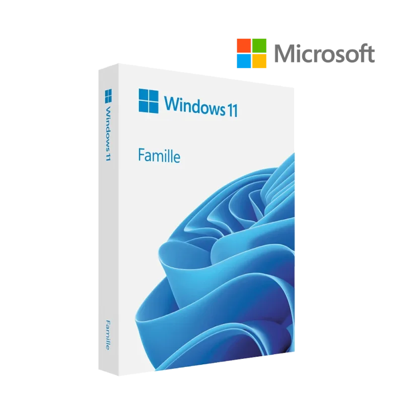 Win 11 Home 64Bit French 1pk DSP OEI DVD