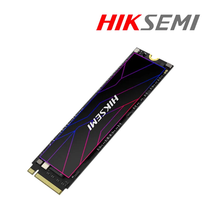 HS-SSD-FUTURE Lite STD 1024G PCIE4